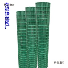 荷兰网护栏网养殖网 围栏网鸡鸭鹅网果园网圈地网隔离网麦太保