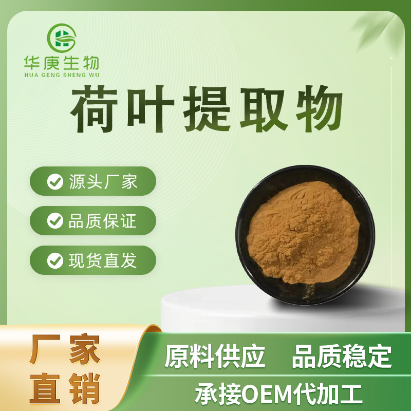 荷叶提取物20:1荷叶碱水溶性原料厂家直销 比例萃取荷叶粉食品级