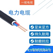 һ�|��| ����ϩ���^�������| YJLV-0.6/1kV-2*6 ��ɫ 1mһ��