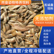 ����ˮ�a�Bֳ�������������{�~���B�����ʳ������s�~�ӹ�