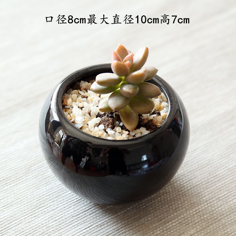 【6个6色】多肉花盆陶瓷创意简约个性小清新流釉阳台多肉花盆|undefined