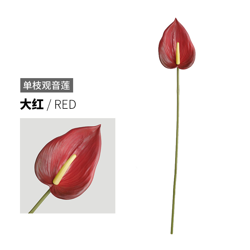 레드 레드