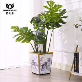 动物系列图画花盆创意自动吸水懒人花盆方形塑料落地白色加厚客厅