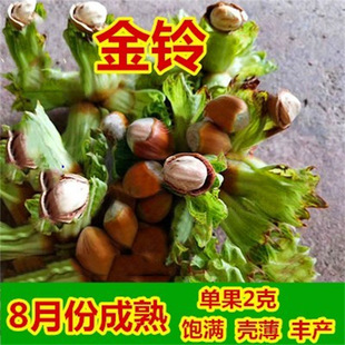 �|������Ә��籱���Nֲ�������ƽ�W�����Ә�ͥԺ�Nֲ�Թ����