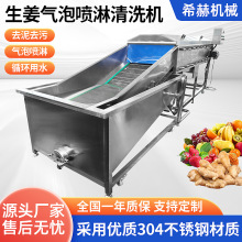生姜清洗机水果蔬菜清洗设备多功能自动洗菜机按需制作商用清洗机