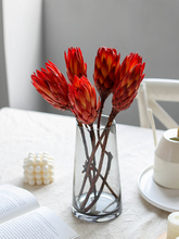 ���W��Ȼѩɏ���ɻ��Ϸ��M�ڻ��tɫ��ʽ�p�ݿ͏d�b�������������