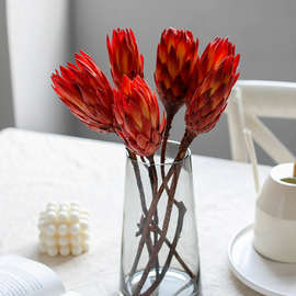 北欧天然雪莲花干花南非进口花红色美式轻奢客厅装饰永生花公主花