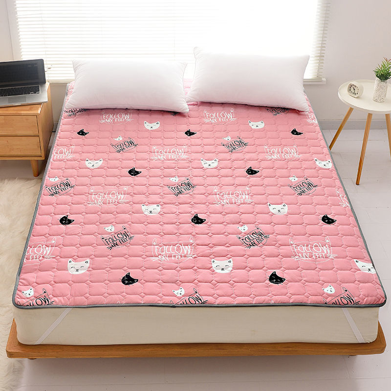 업그레이드된 고양이 파우더