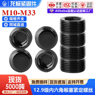 ����12.9�ߏ��ȃ����Ǻ����o���ݽz�o�^ֹ����ᔐ��^�������^���S