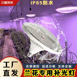 植物生长灯;支架;定时器插座