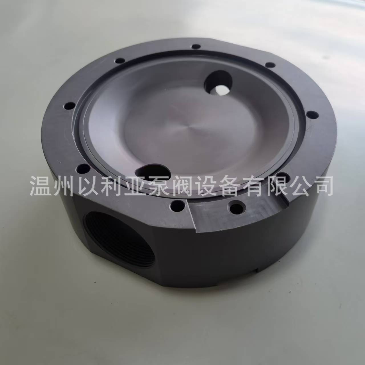 普罗名特计量泵PVC泵头S3CBH040830PVTA110UA01000EN隔膜片单向阀