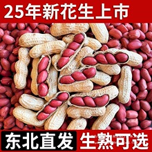 红皮花生2025年农家新货不带壳新鲜晒干四粒红花生米生熟可选