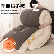 新款羊羔绒被子冬被加厚保暖被芯单人双人春秋被学生宿舍被褥床垫