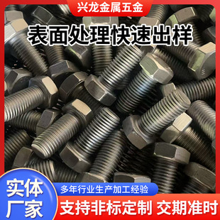 ����\���S���ٱ���̎�����P䓒���� ���׻����懊�T�\�Ͻ�僽�