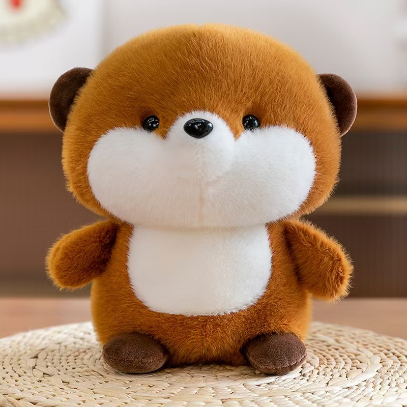 Cute squirrel