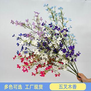 2024���¿��c���^��֦ľ���Nޱ���������黨��ɫ��Y���b���