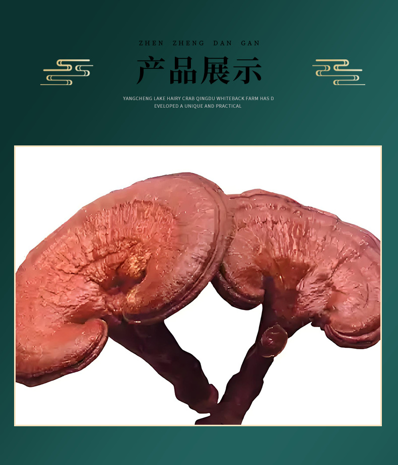 Dried Reishi Mushroom Slices Ling Zhi for Soup and Wine Soaking Traditional Chinese Herb key features
