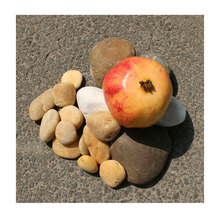 画画2025新批次白色鹅卵石砾石日式庭院造景石多肉植物铺面石园林