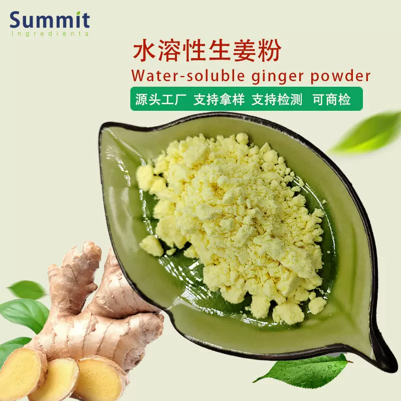 工厂现货水溶性生姜粉提取物药食同源可拿样测试生姜粉