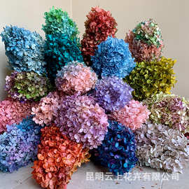 宝塔渐变木绣球保鲜花礼盒手工花材家居插花永生花DIY不凋谢