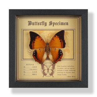 ������˱���� �Wʽ�ֹ��Ҿߔ[���Ʒ�ڒ��diy���նY���Ʒ�YƷ