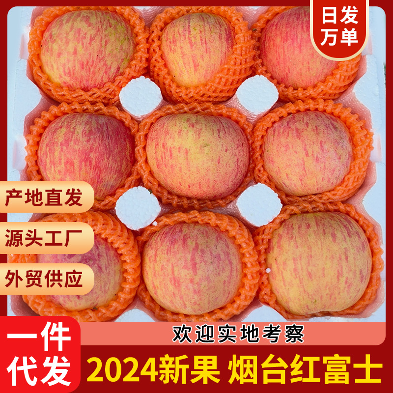 Wholesale dropshipping Yantai Red Fuji apples fresh apple fruit wholesale crispy sweet Red Fuji apples