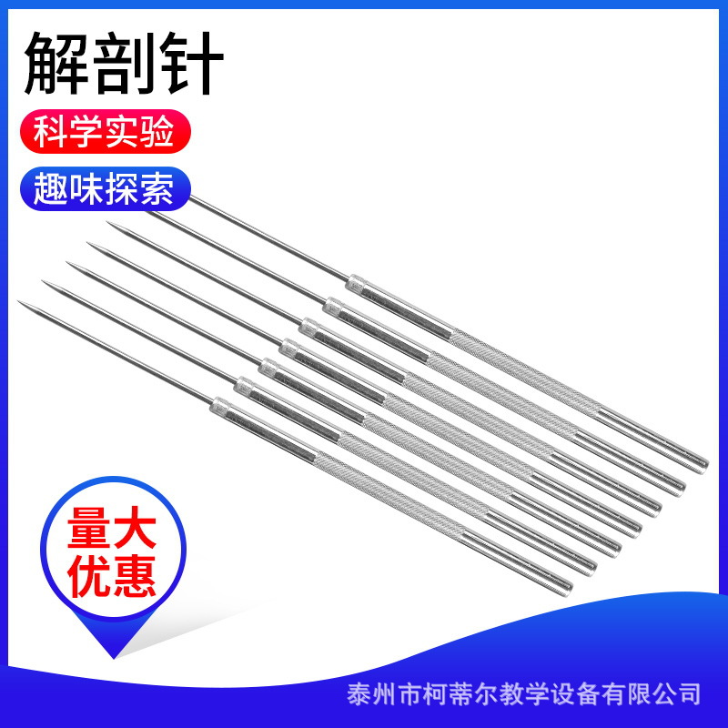 解剖针昆虫解剖针生物解剖针教学解剖工具中小学教学实验仪器