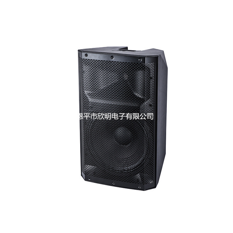PV15 シングル 15inch アクティブスピーカー広場ダンスオーディオ屋外ライブブロードキャスト DSP スピーカー付きハイパワーフルレンジスピーカー|undefined
