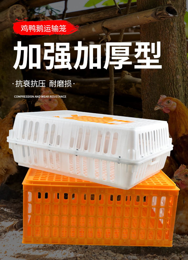 详情2_01.jpg