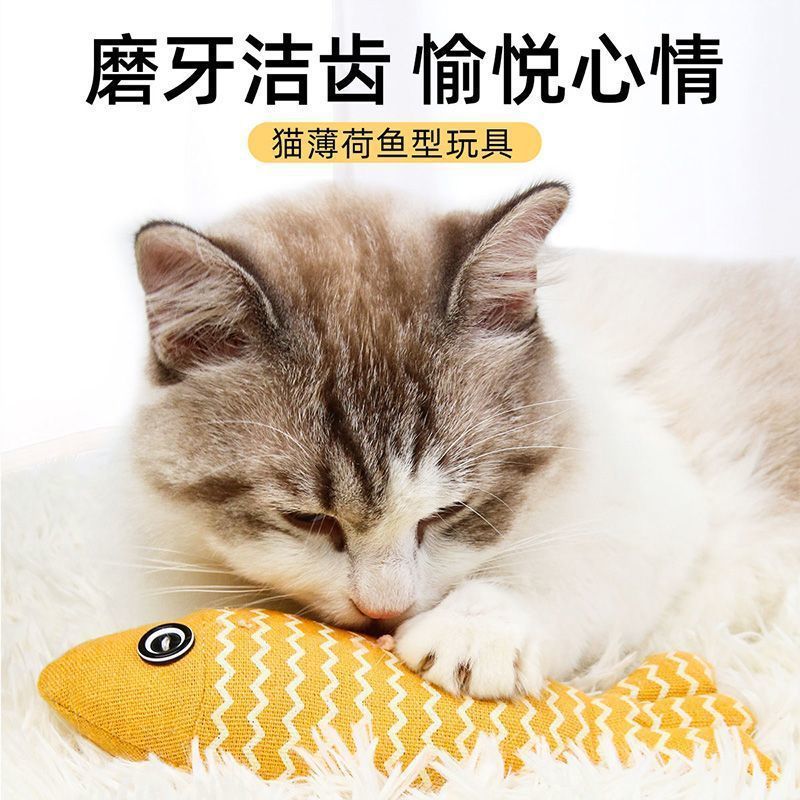 67a257c4-d62d-4a4b-aca8-1520ed5f7396.jpe