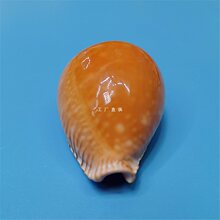 ��Ȼϡ�к���ؐ�����ǌ����~��ˮ���쾰�b��к��Ҿ��ղؘ˱���