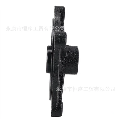 Hub Mount, Motorcycle frame