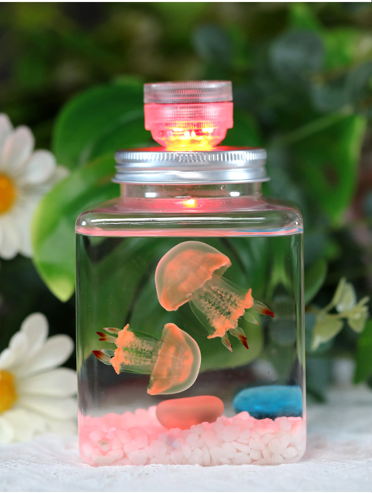 水母活物缸家养好养儿童学生桌面小动物宠物迷你懒人水族箱赤月