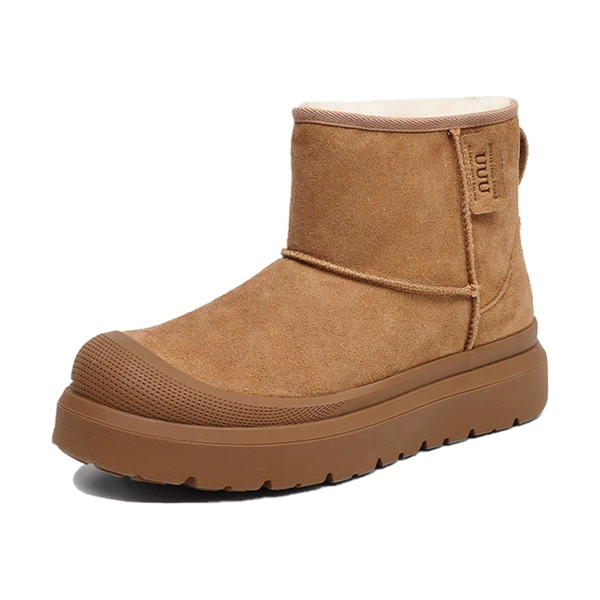 H2210 camel