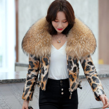 冬季新品短款超大貉子毛领修身真皮皮衣海宁绵羊皮豹纹机车服外套
