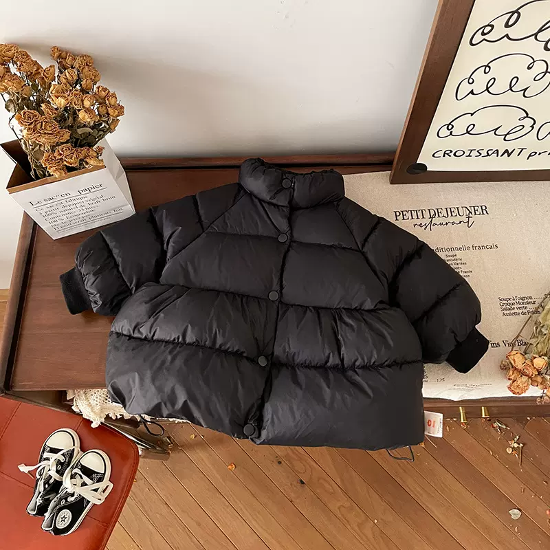 DW249753儿童羽绒服白鸭绒冬季2024新款外套加厚保暖冬装中小童