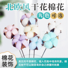 彩色单支棉花干花永生花圣诞花束仿真花艺