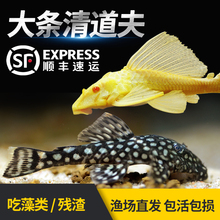 ������~���坍����̦���^�p�~�ͻ�Ꭷ��ˮ�ԼS��������~