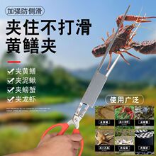 不锈钢泥鳅夹黄鳝长鱼夹螃蟹夹子钳子赶海防侧滑鳝鱼抓鱼工具跨境