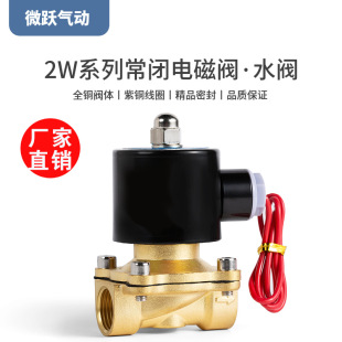��ӳ��]늴��yˮ�y220V���y24V�_�P2W025-08/4��6��1��1.2DN20�~