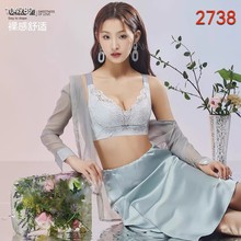 2738品牌无痕无钢圈  B杯中等模杯 五排扣舒适上托文胸34-40