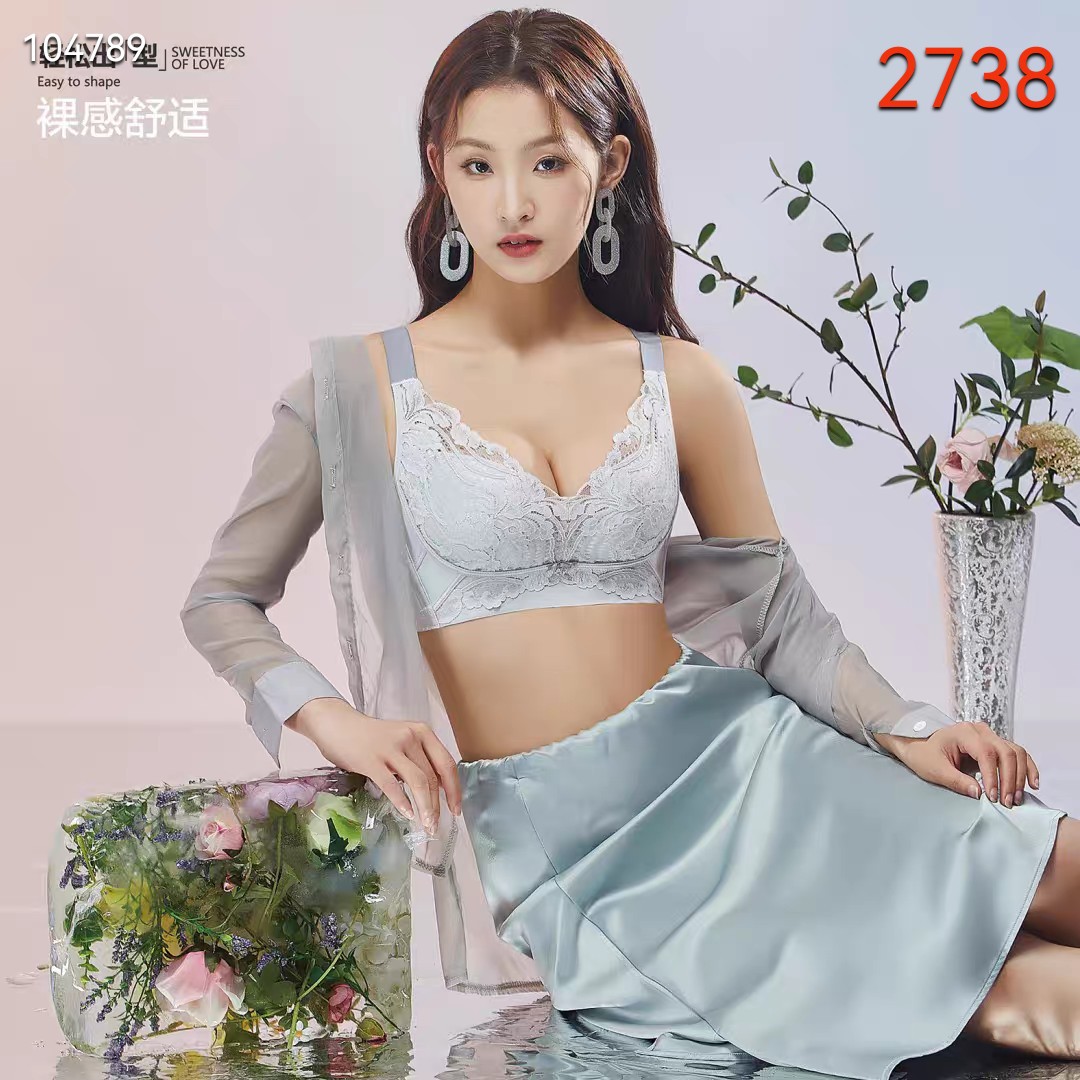 2738品牌无痕无钢圈  B杯中等模杯 五排扣舒适上托文胸34-40