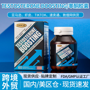 غͪ�����z��Testosterone Capsule �羳��������޽�|�ﰢ���z��