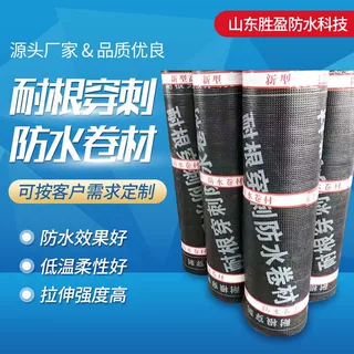 SBS弹性体改性沥青防水卷材黄沙片岩 火烤型 屋顶楼顶屋面地下室