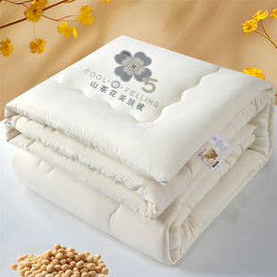 Category a Maternal and Infant Grade Soybean Raw Cotton Fiber Quilt Spring & Fall Quilt Winter Quilt Soft, Comfortable and Warm New Quilt Antibacterial