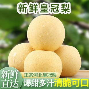 �ӱ��ʹ�����]ֱ�l����ˮ�����l��ѩ��������Xɽ�����