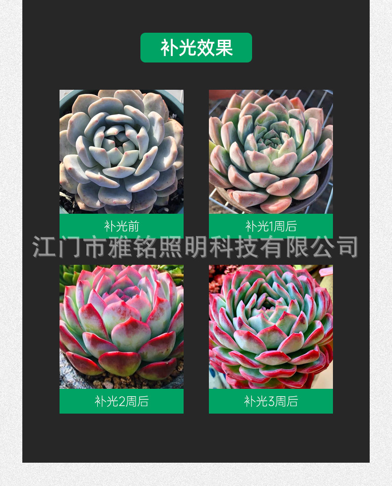 详情_10