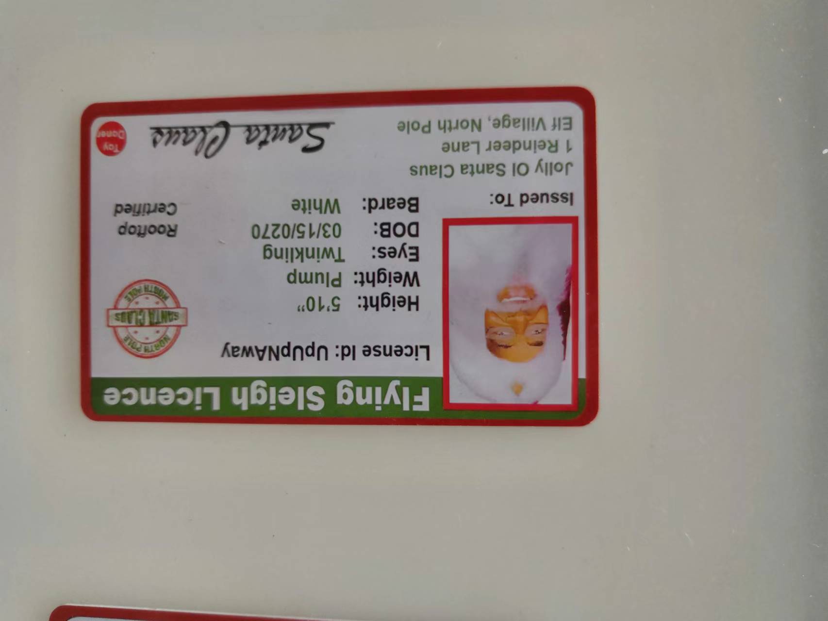 새로운 크리스마스 카드 D