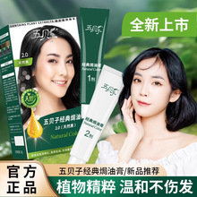五贝子经典焗油膏染发剂黑色植物萃取官方正品盖白发染发膏男女