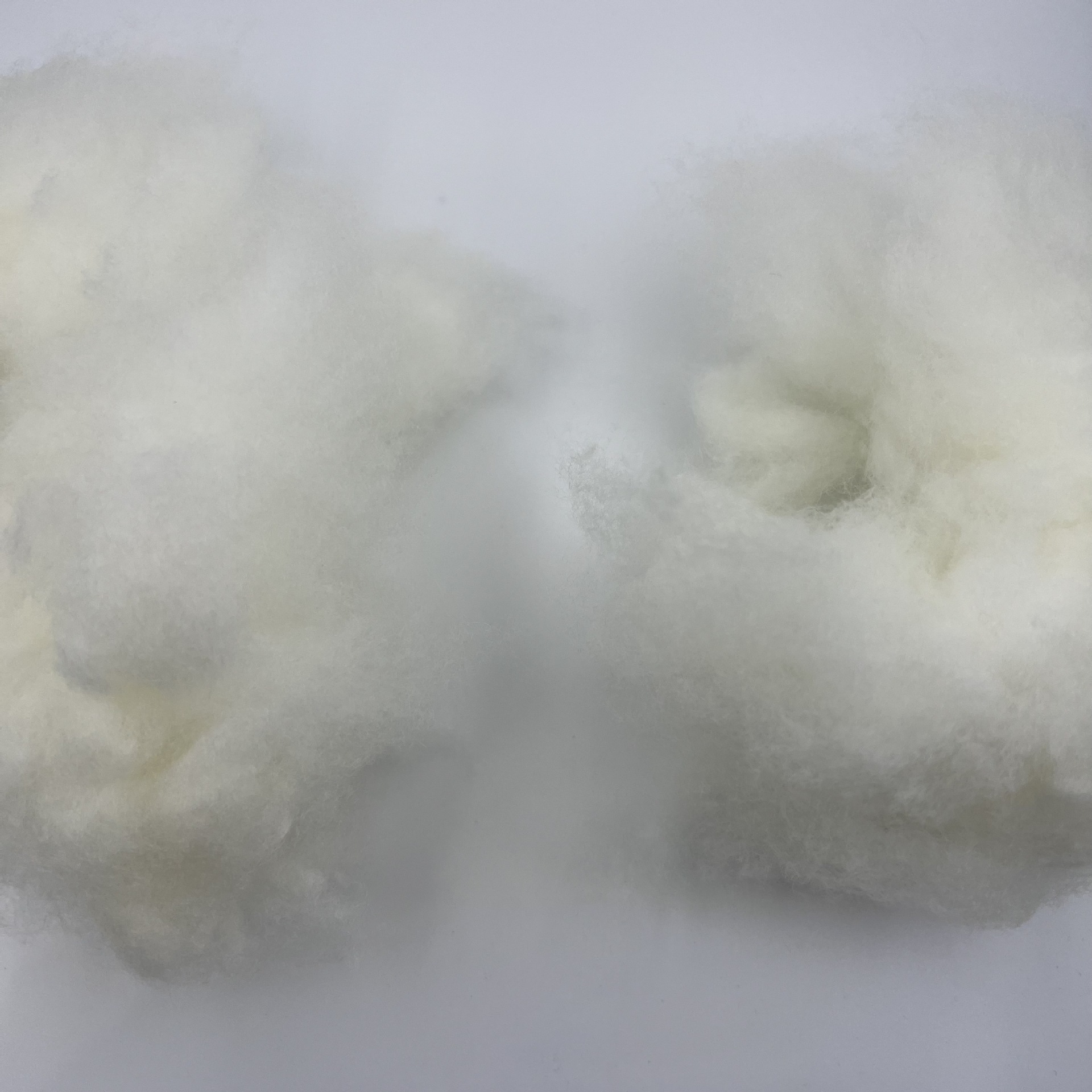 Wholesale combed 70-count sheep wool